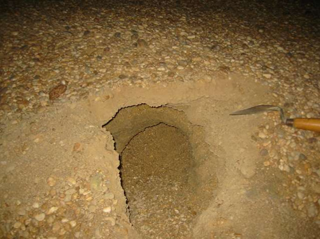 Sample locality CH 44 beach ridge sediments