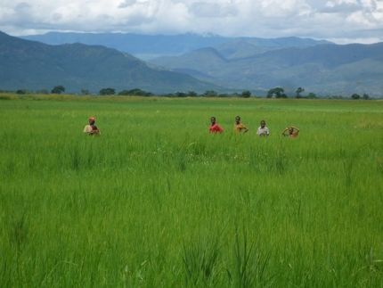 Environment, Politics and Development Research Group, Department of Geography, King's College London