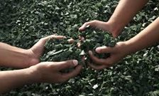 Partnerships