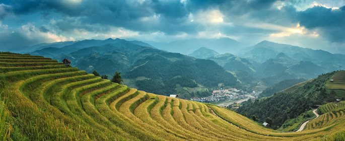 countryside-cropland-farm-235778