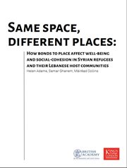 Precarious Places Report