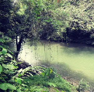 Soraya-Brunei-nature-pic