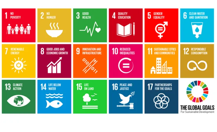 The SDGs