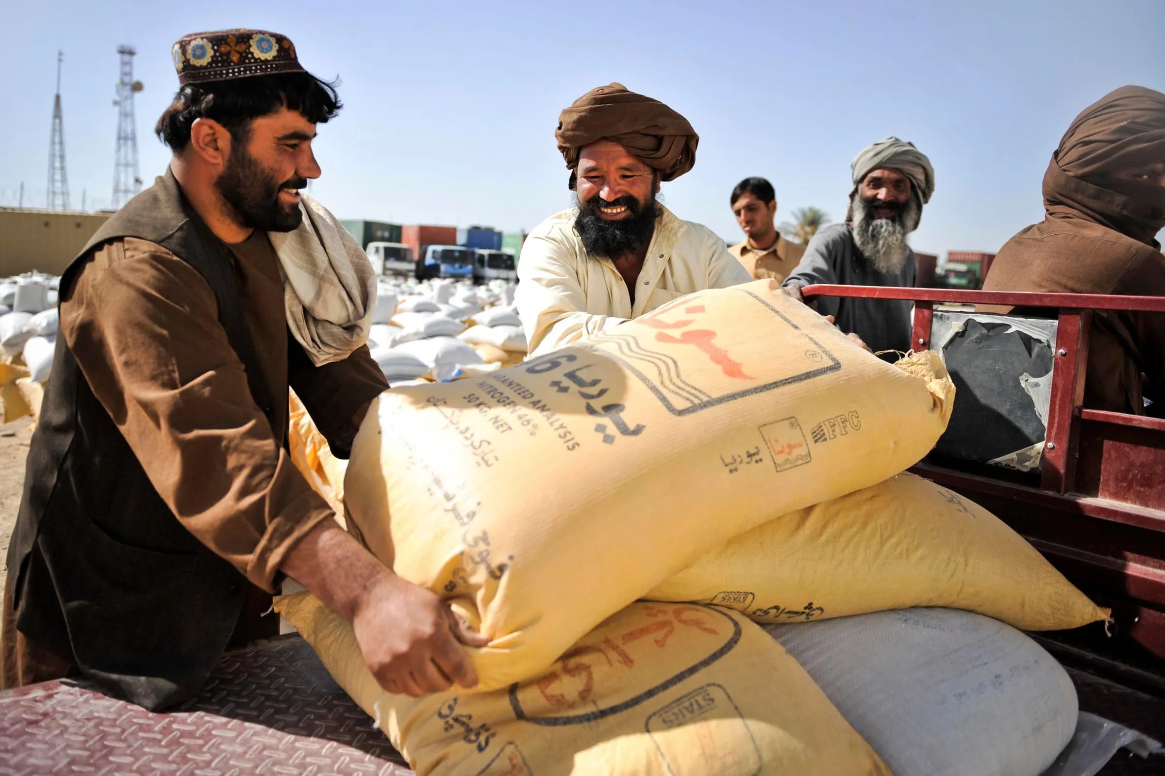 Farmers_collecting_wheat_seed_in_Helmand