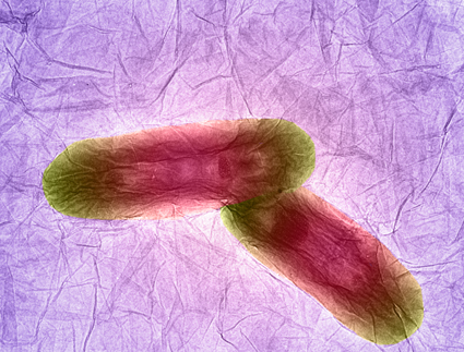 Wellcome image 1