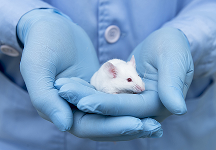 animalresearch