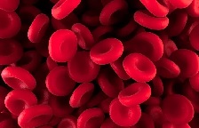 celldisease
