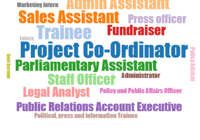 european-and-IntStudies-jobs-wordcloud-PG