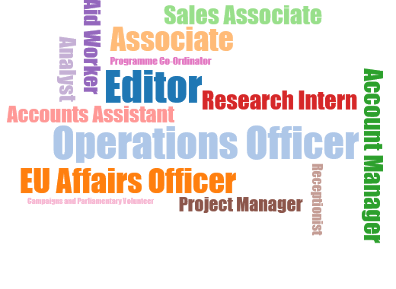European and International Studies Destinations of Undergraduates - Jobs Word Cloud - 2012-14