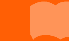 book-orange
