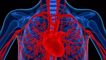 Cardiovascular Medicine logo