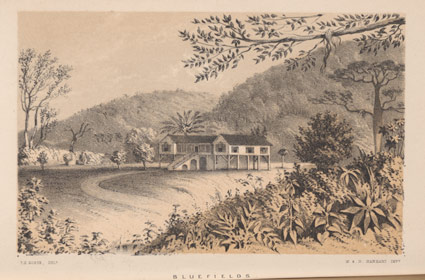 Gosse's painting of his estate in Jamaica