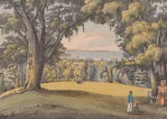 View of the Botanic Gardens St. Vincent. From 'An account of the botanic garden in the Island of St. Vincent ...' by Lansdown Guilding (1825) .