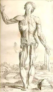 Vesalius, Opera omnia, 1725. 