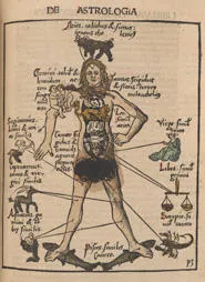 Zodiac man from 'Margarita philosophica' by Gregor Reisch (Freiburg, 1503).