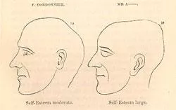 Two heads shown, in an illustration concerning phrenology