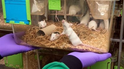 Biosecurity