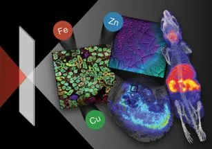 Metallomics image LMC 2nd meeting