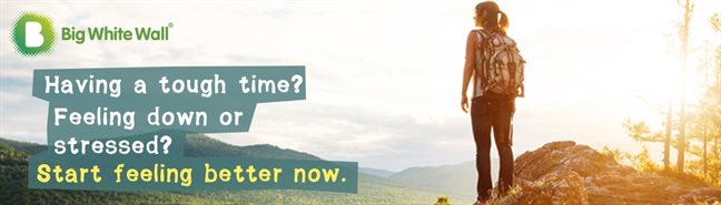 BWW website banner