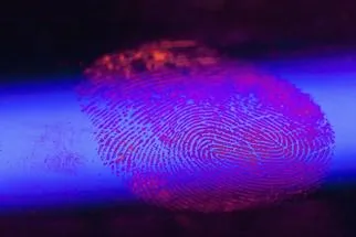 fingerprint