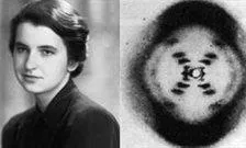 Rosalind-Franklin-dna