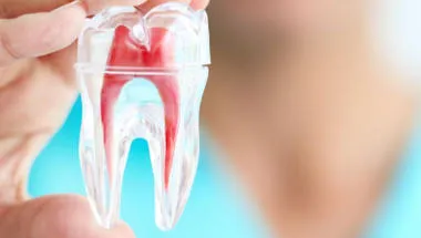 1800x500 dentistry_video_hero