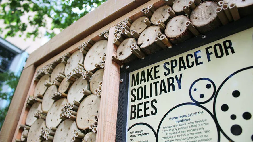 Bee hotel