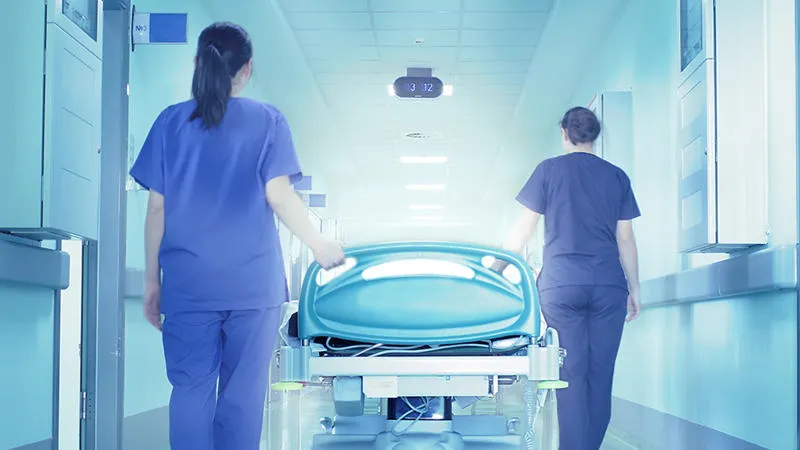 Nursing staff 1800500