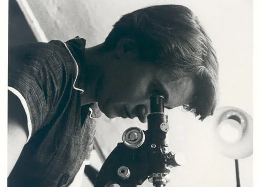 Dr Rosalind Franklin