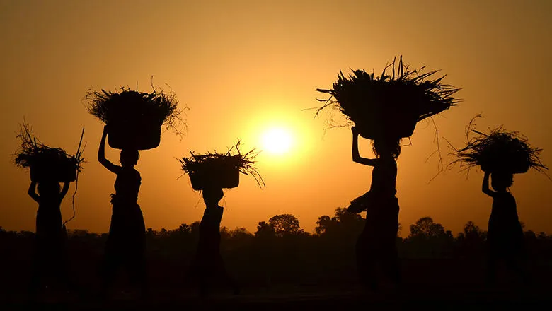 Back Lit Baskets on Heads