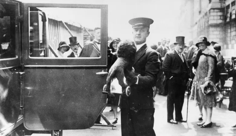 A woolly Reggie, presented to the Duke and Duchess of York (King George VI and Queen Elizabeth), for Princess Elizabeth (Queen Elizabeth II), 1929. 