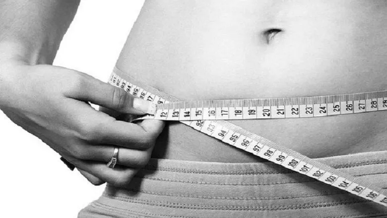 Study explores link between belly fat and metabolic disease