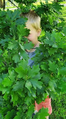 Child Tree