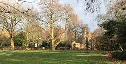 Lincoln's Inn Field