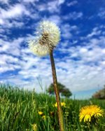mindfulness 1