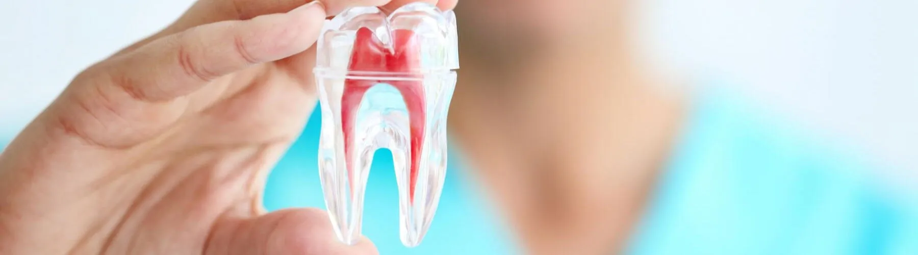 1800x500 dentistry_video_hero