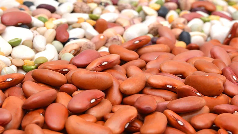beans lentils promo