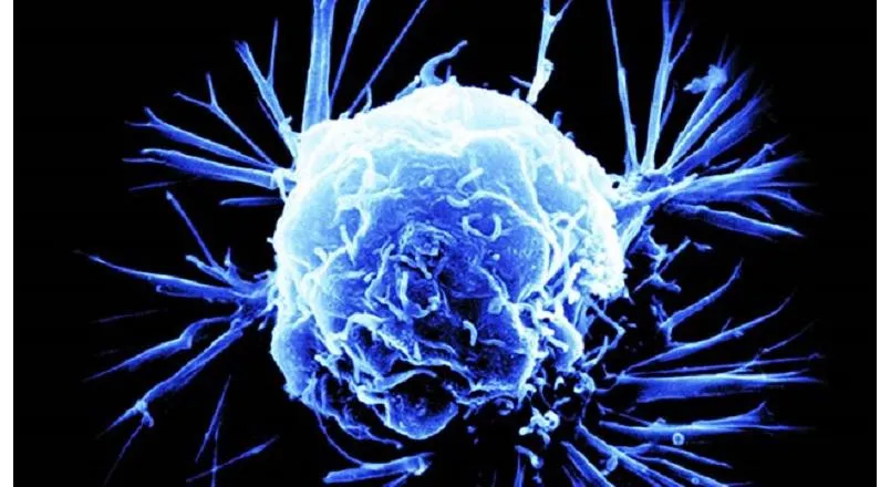 Cancer cell edited