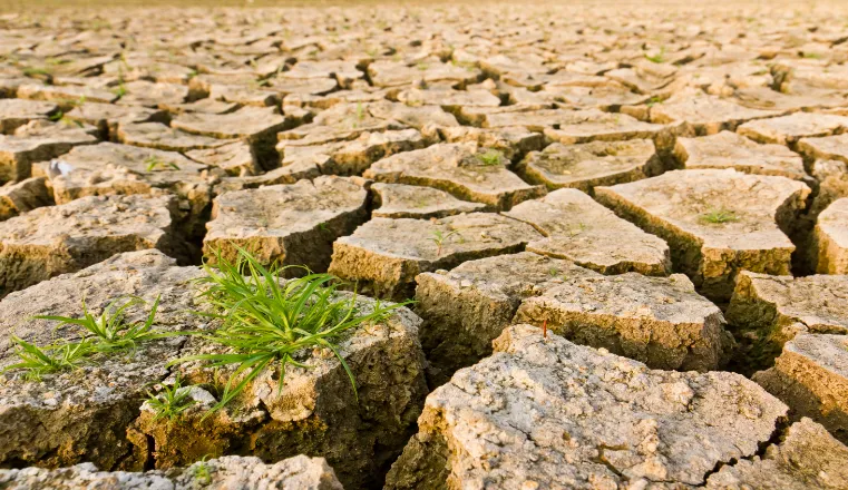 Soil affected by drought