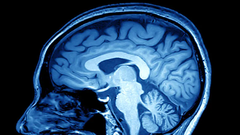 diabetes&brain