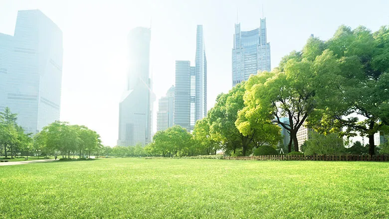 nature city 780440