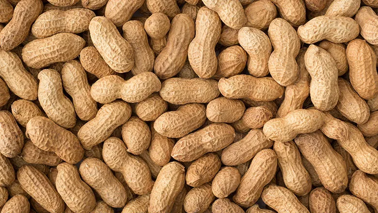 peanuts780440