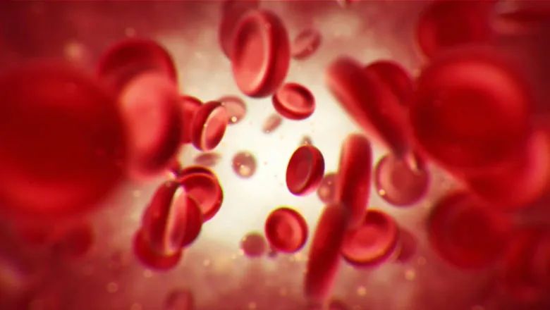 Red Blood Cells