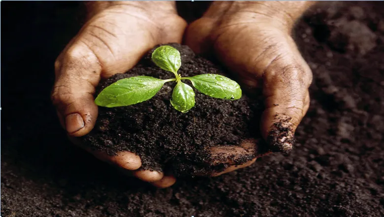Incorporating environmental, social and governance into high-growth startups