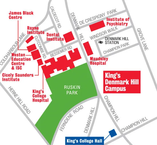 Location of the Denmark Hill campus
