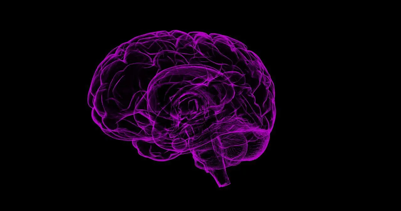 Purple image of a brain
