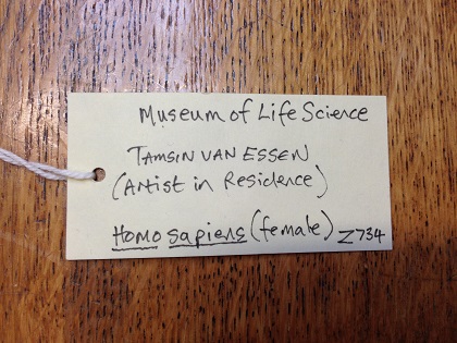 museum_label