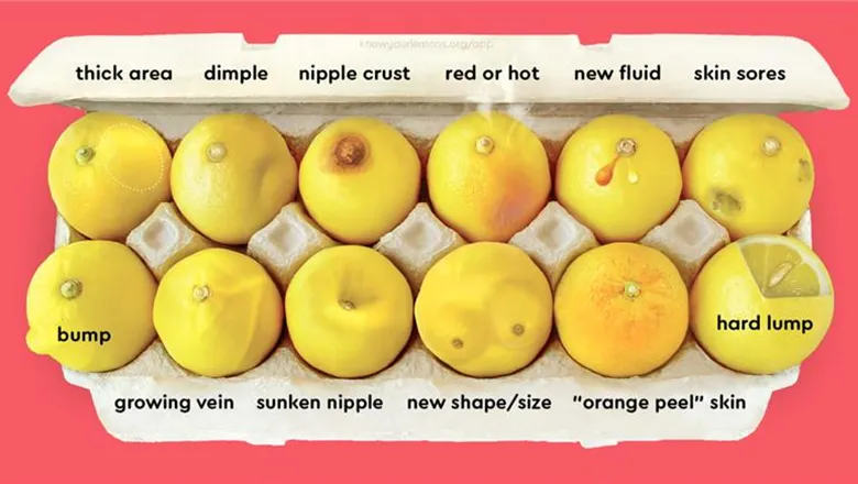 Eggbox containing 12 lemons, each showing a different symptom of breast cancer