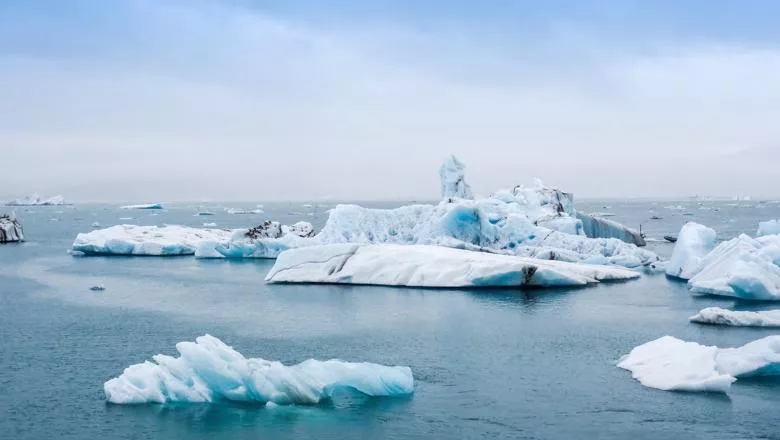 Melting Icebergs in an ocean.