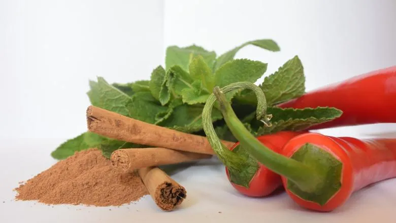 Cinnamon, mint and chillies